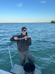 Hornfisk fanget fra badebroen ved Storebælt